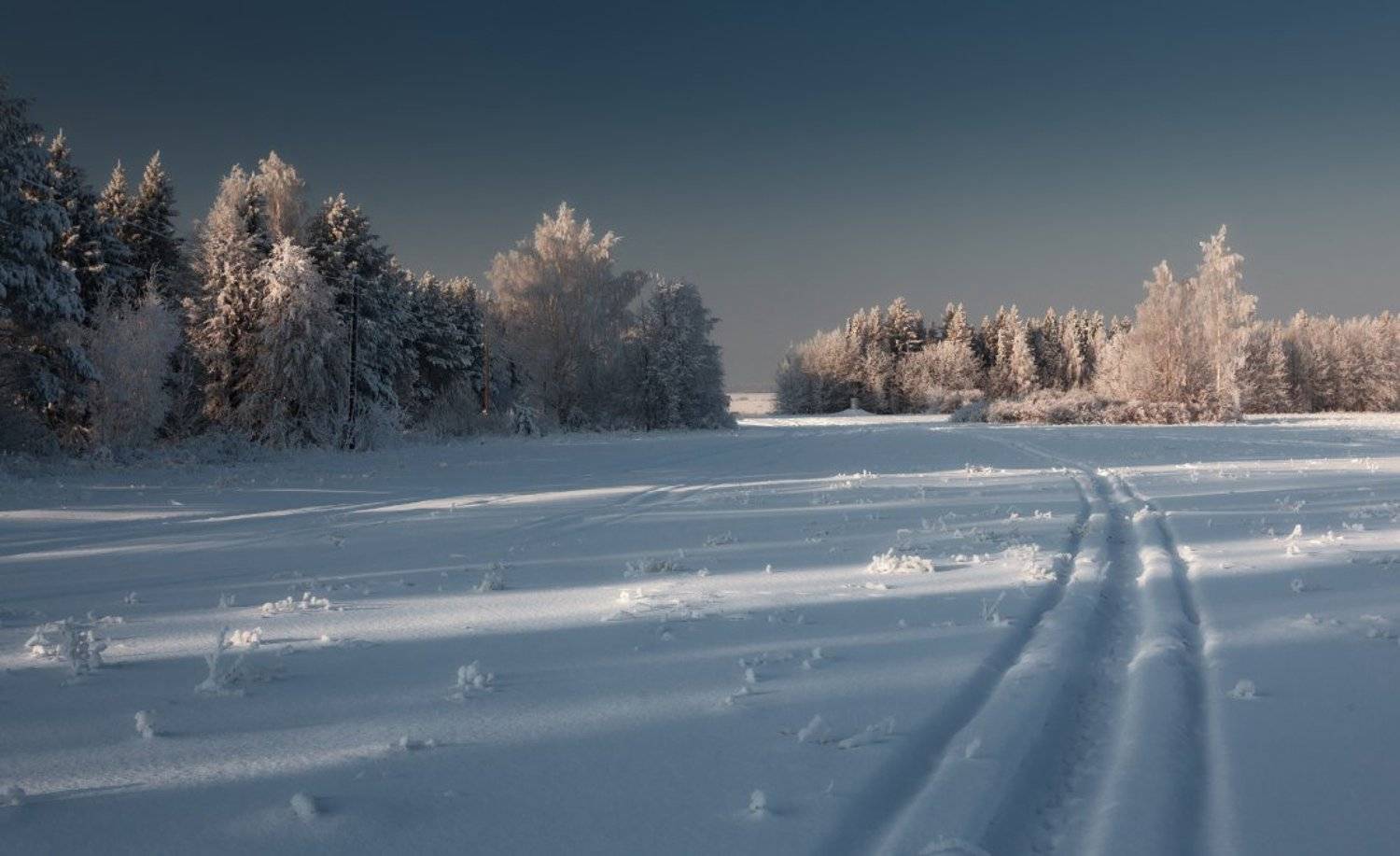 снег, сугробы, елки, лес, иней, тучи, тропинка, зима, мороз, Георгий Машковцев
