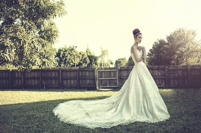 Dazzling Dama фото превью