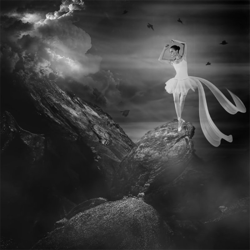 freedom ... фото превью