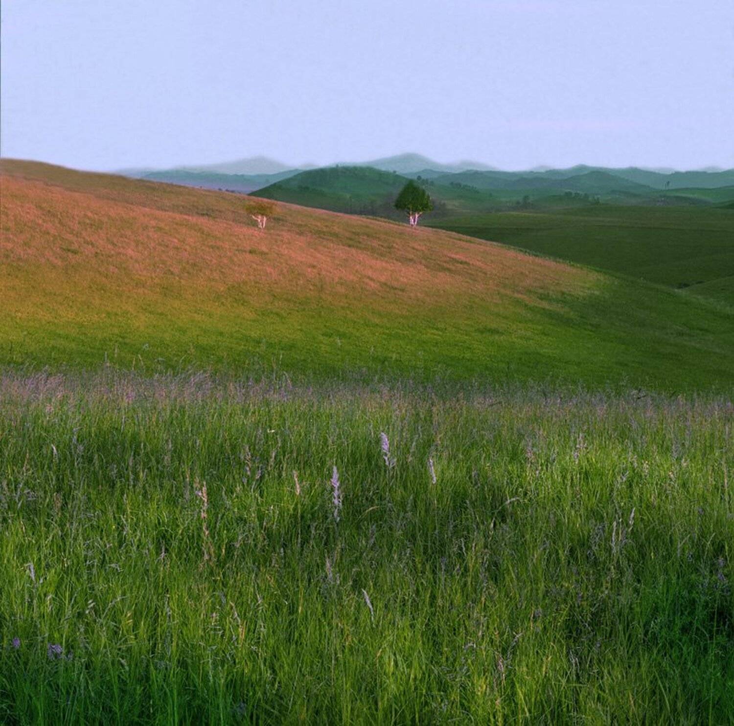 , Павел Мартюшев