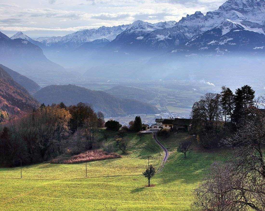 swiss, Матвеев Николай