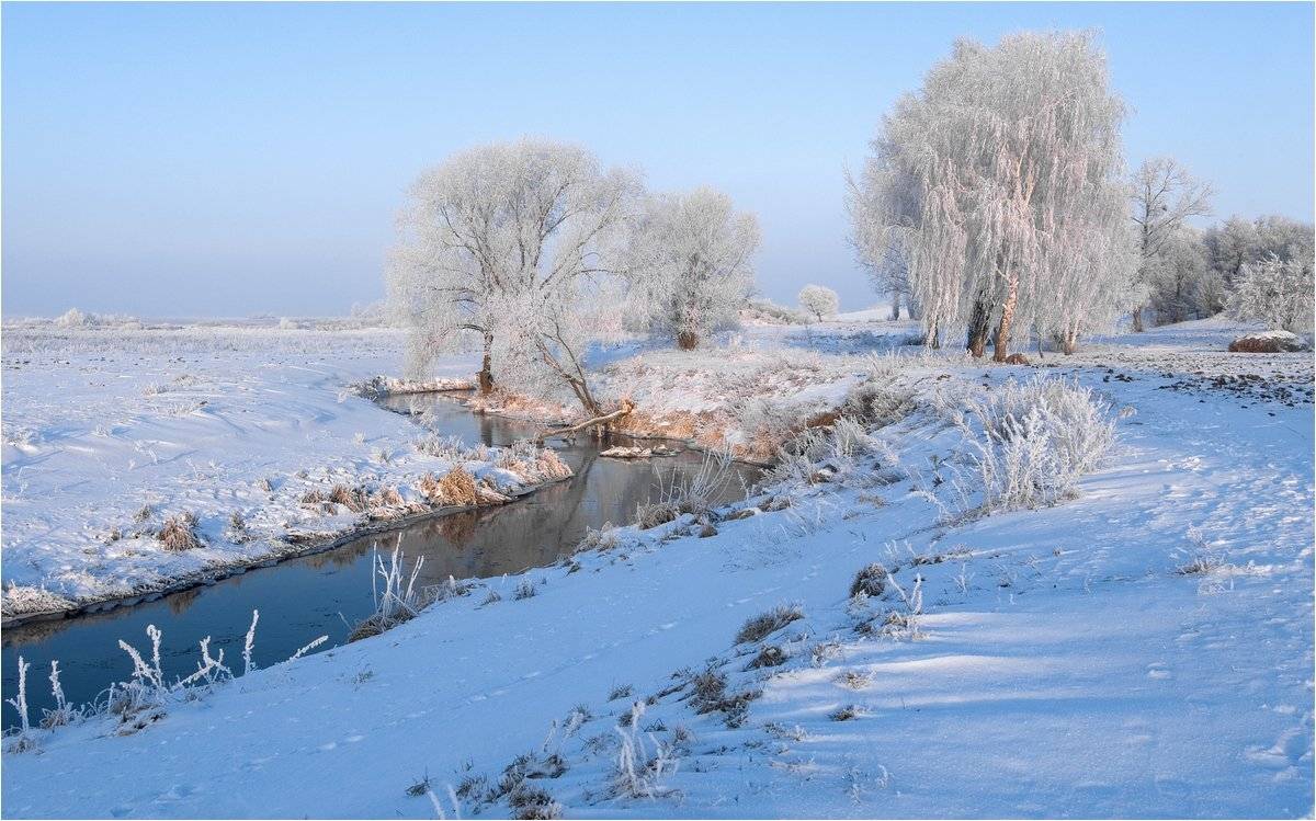 , Николай Шахманцир