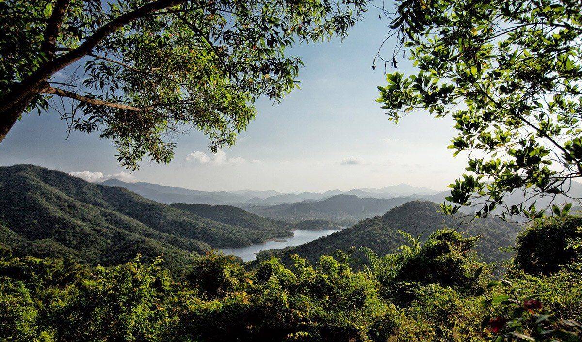 , Лола Пидлуская