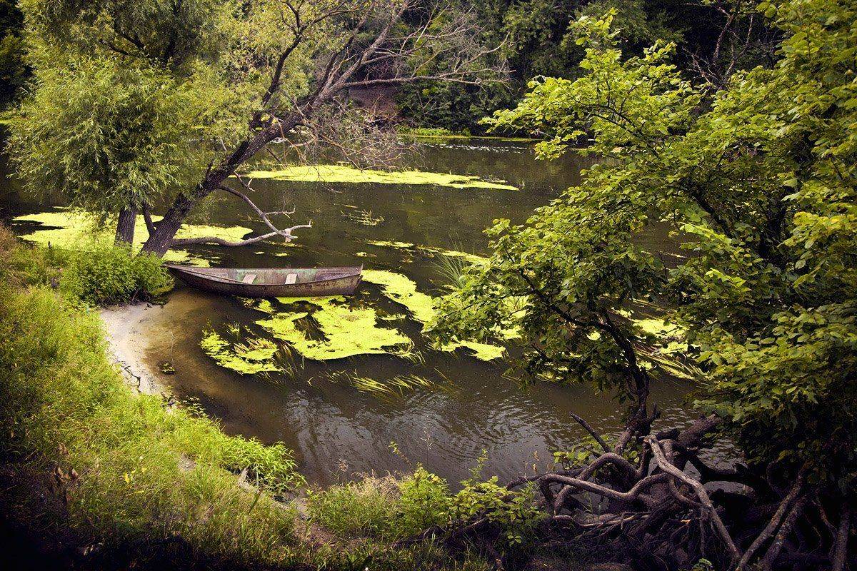 , Лола Пидлуская