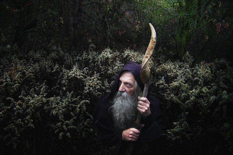 raven forest, mag, driud, old, stick, green, color, portrait, human Ulfr on the edge of the Raven Forest фото превью