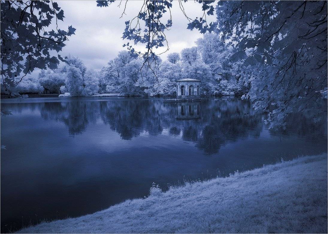 , Алексеевич