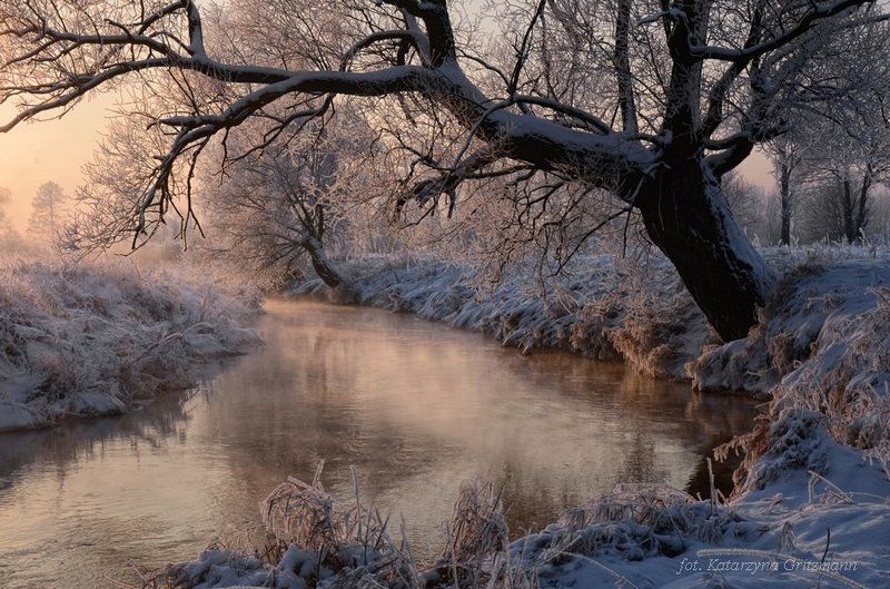 winter morning II фото превью