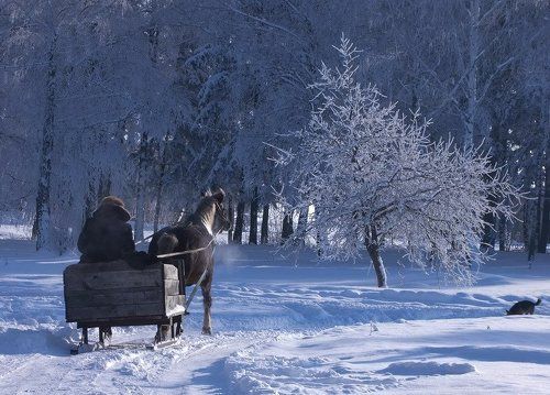Зима!.. Крестьянин, торжествуя,   На дровнях обновляет путь
