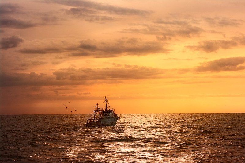 Рыбалка в теплых тонах фото превью