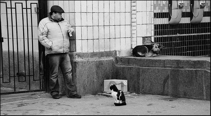 О взглядах.. фото превью