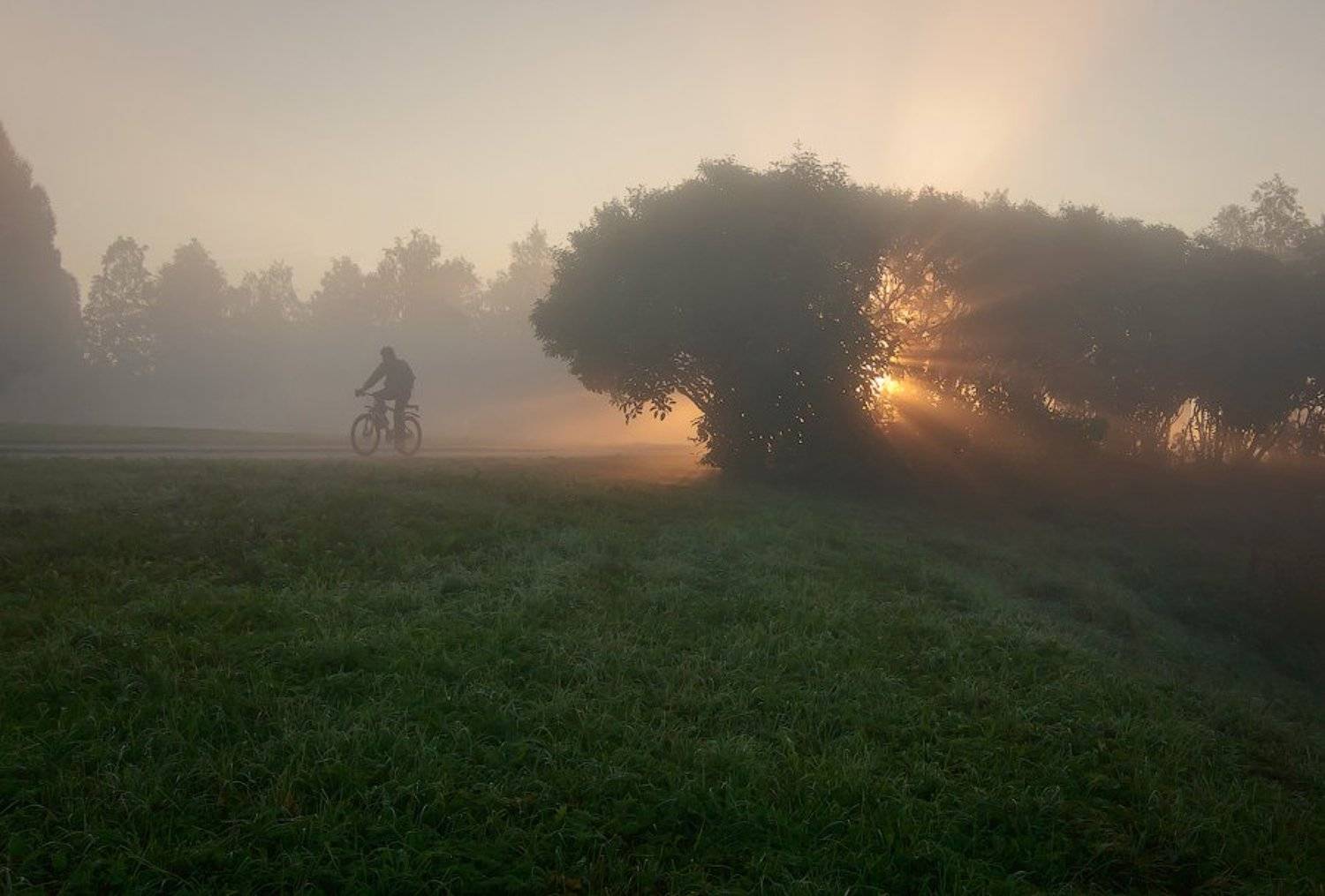 , Болдычев Алексей
