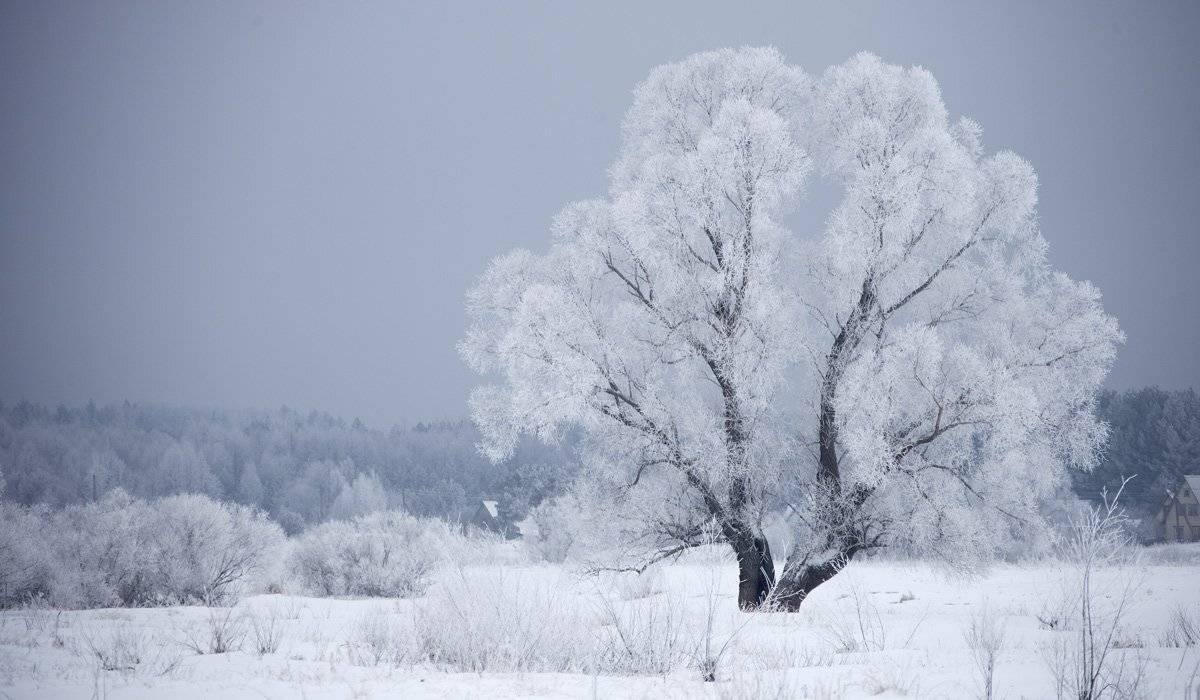 , Валерий Кондратов