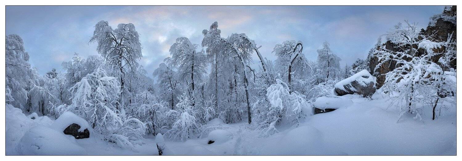 , Владимир Ляпин