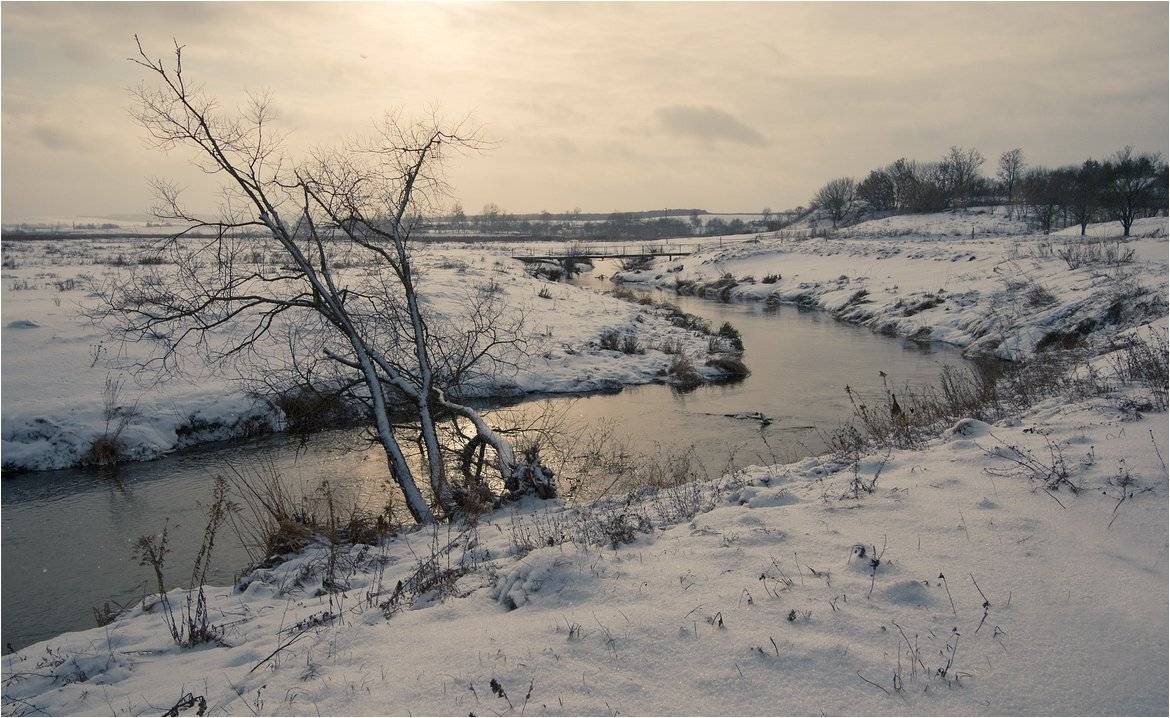 , Николай Шахманцир