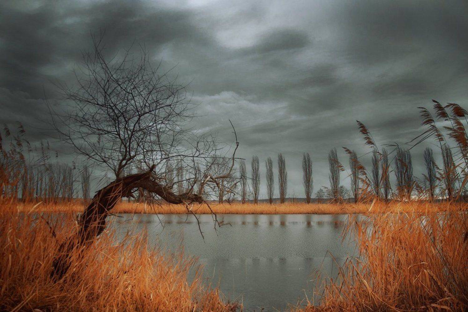 , Александра Александрова