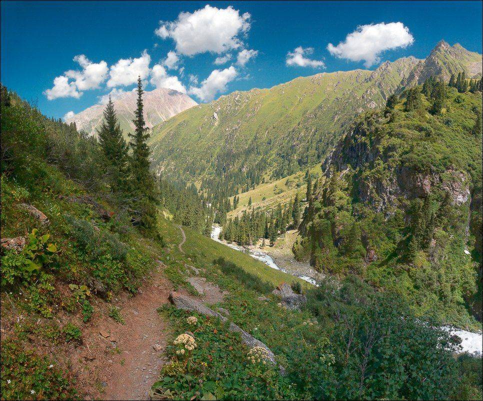 , Вадим Никифоров