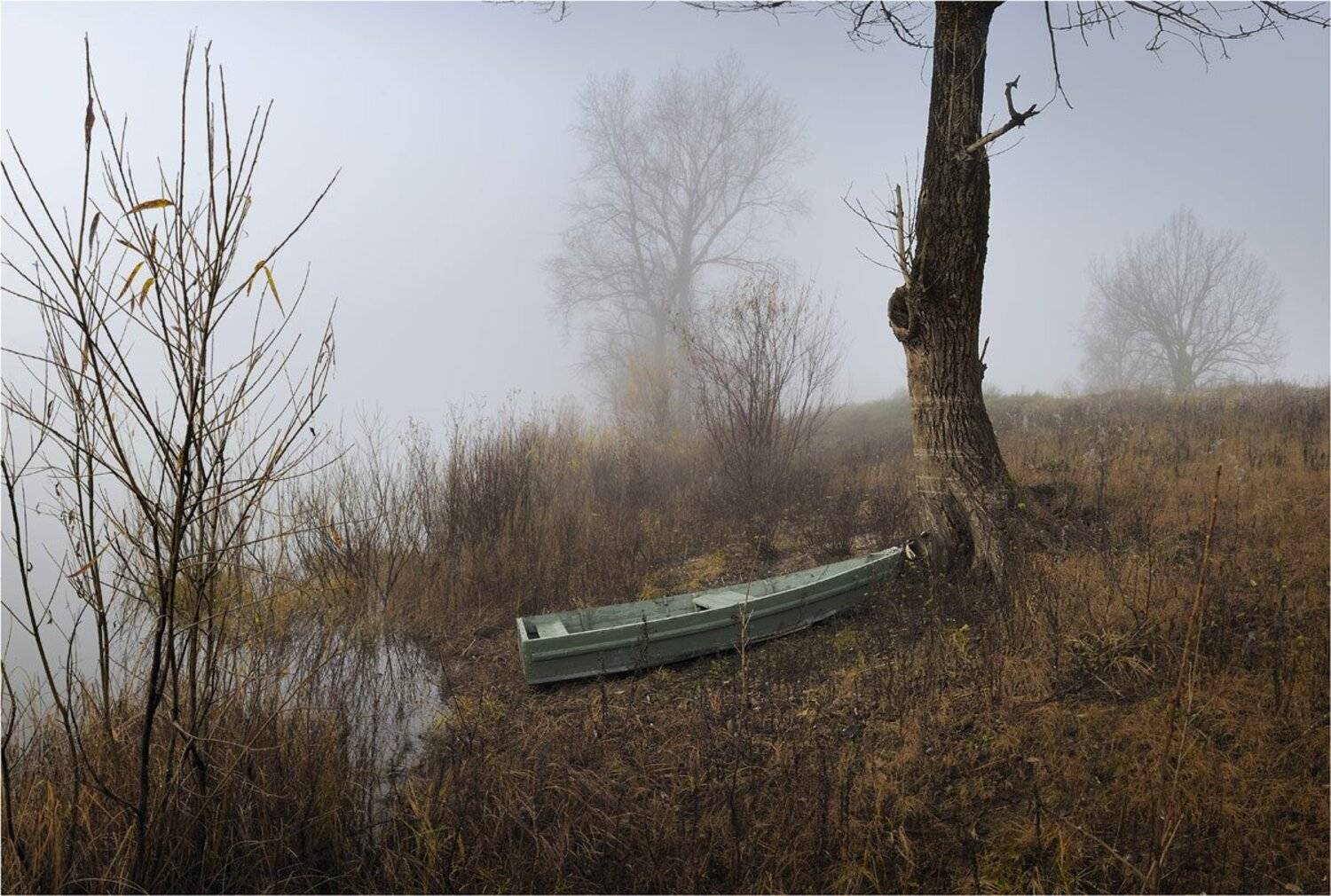 , Анатолий Гулин