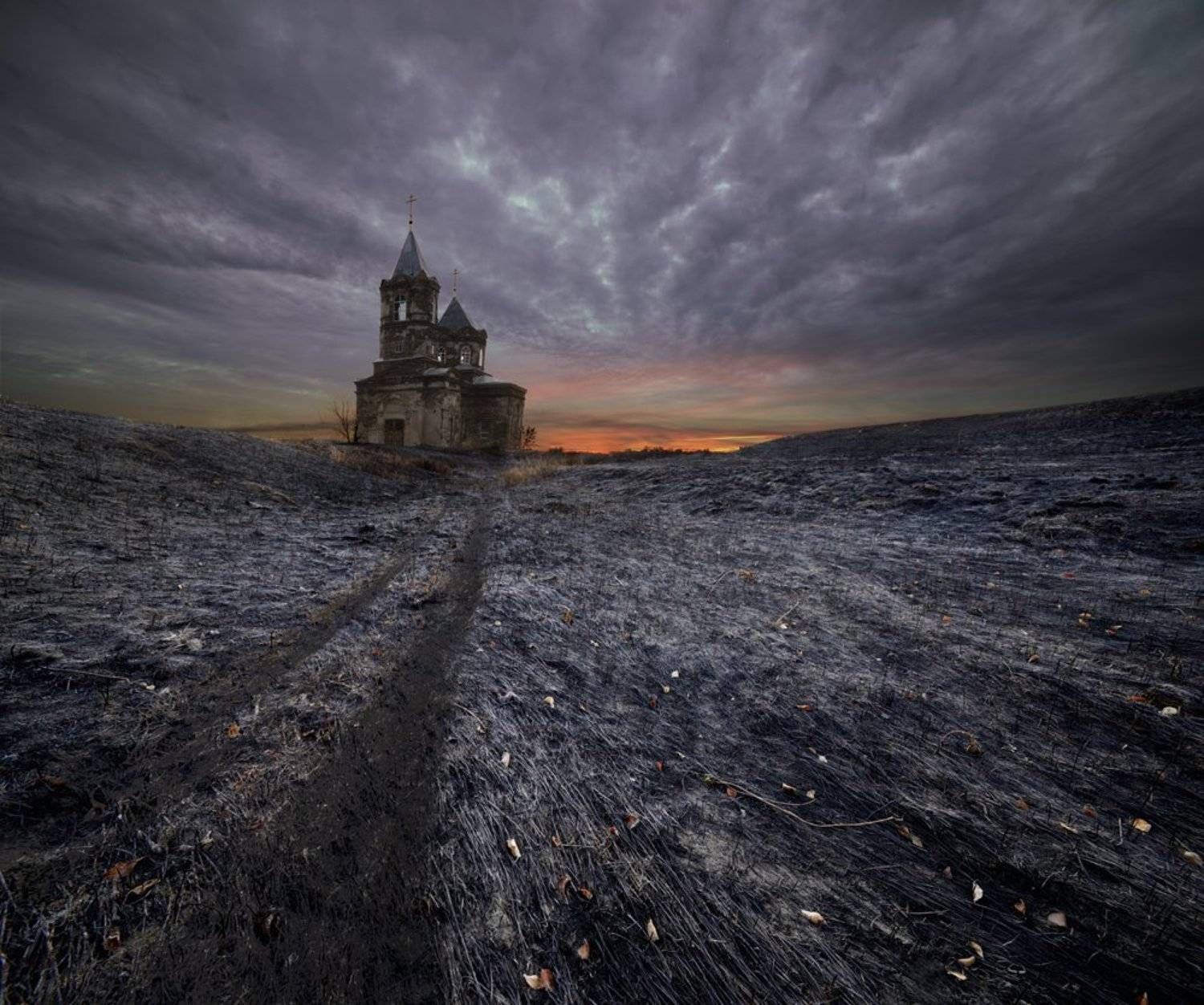 , Дeнис Бoдрoв