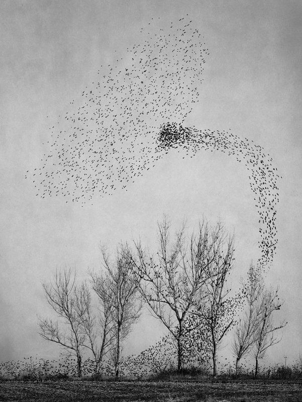 Is there anybody out there? фото превью