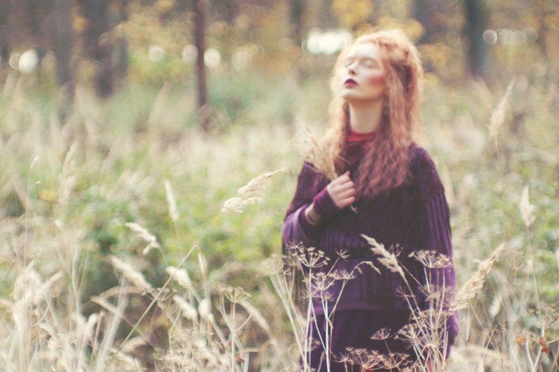 Осень фото превью