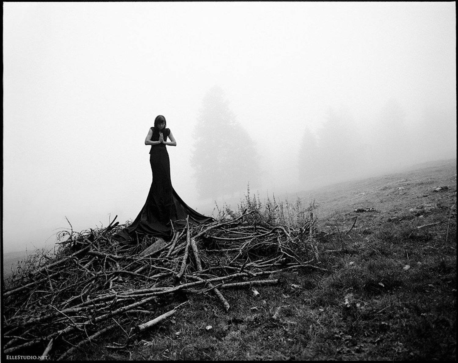 , Fabien Queloz-Ellestudio