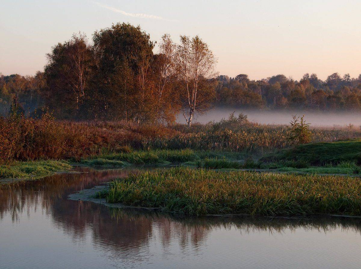 , Владимир Перепечаев