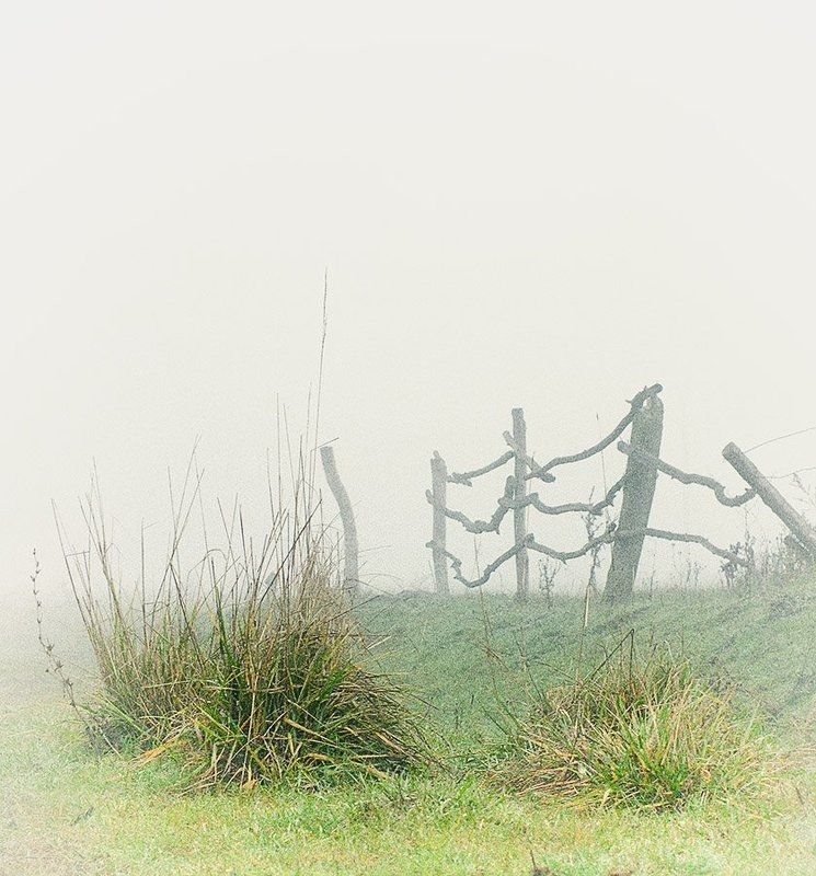 Утро туманное фото превью