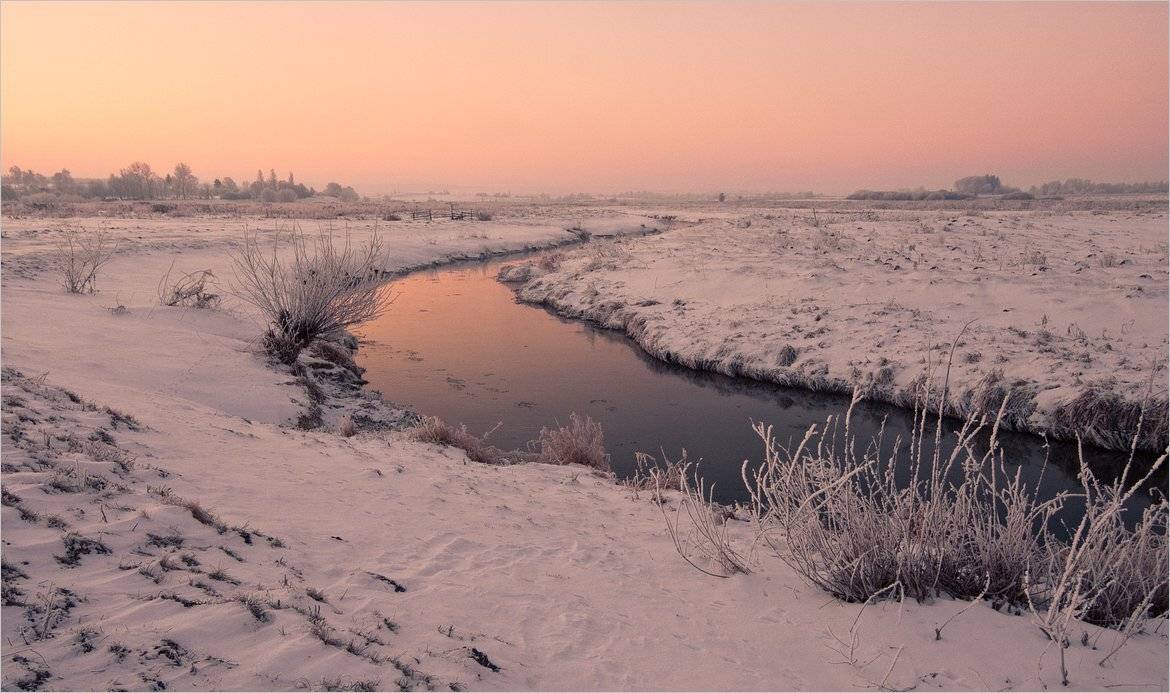 , Николай Шахманцир