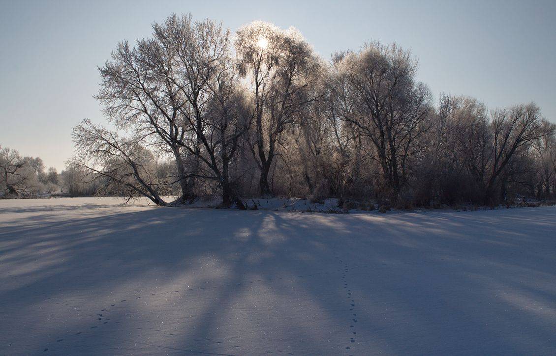 , Володимир Карчевський