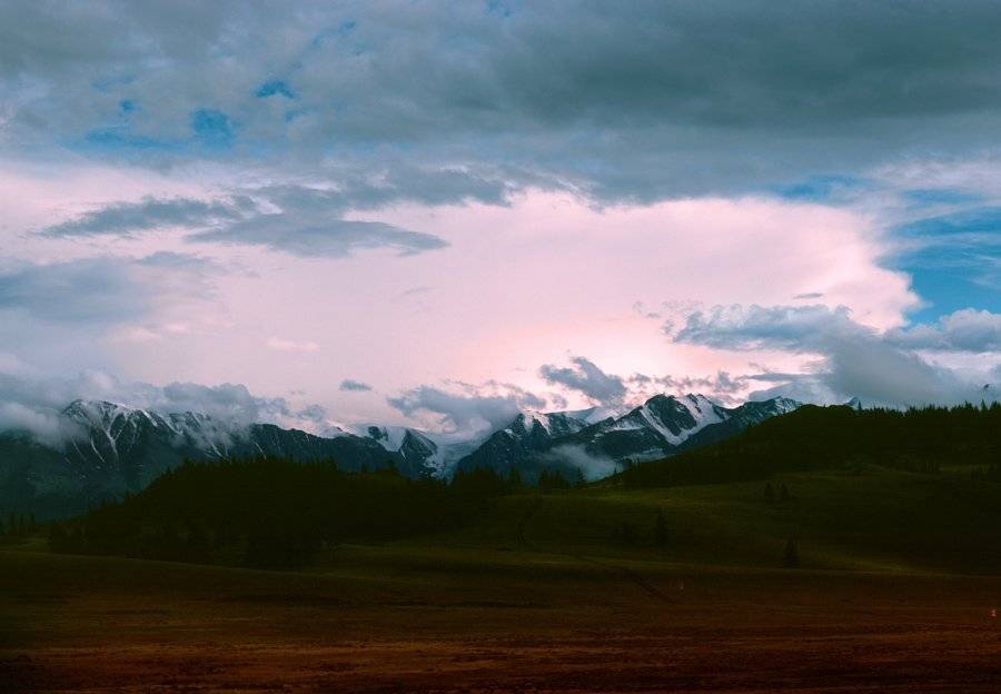 , Павел Мартюшев