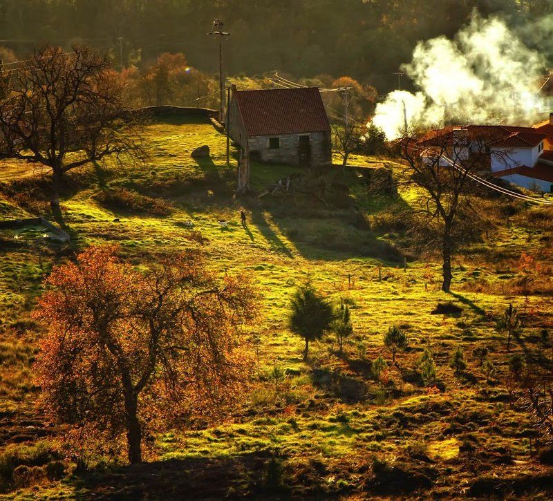 peaceful фото превью