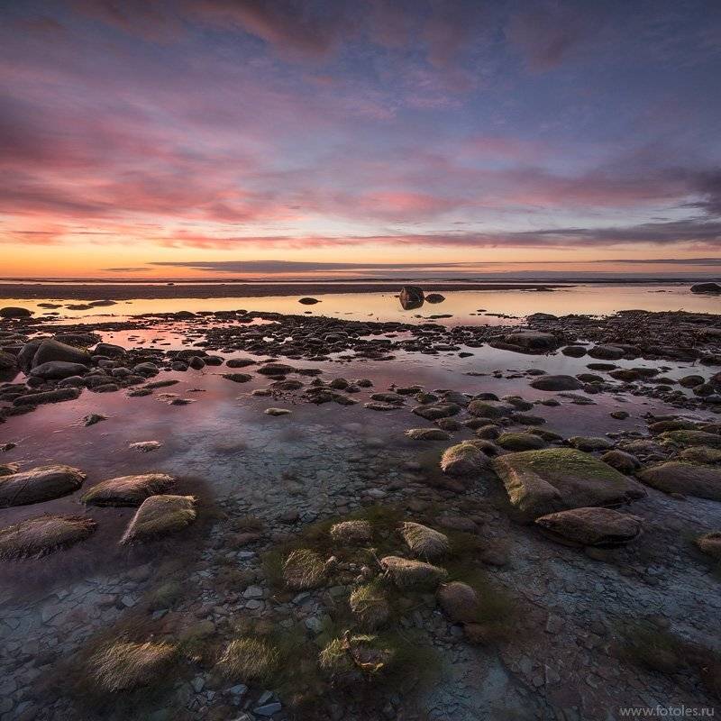 белое, море, север, Илья Бармин