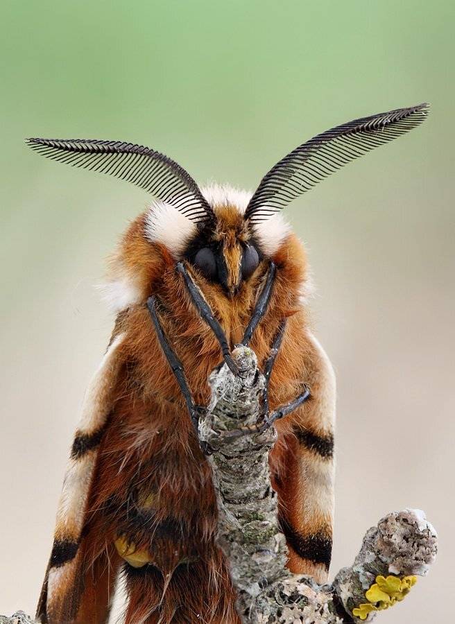 , Сергей Таланов