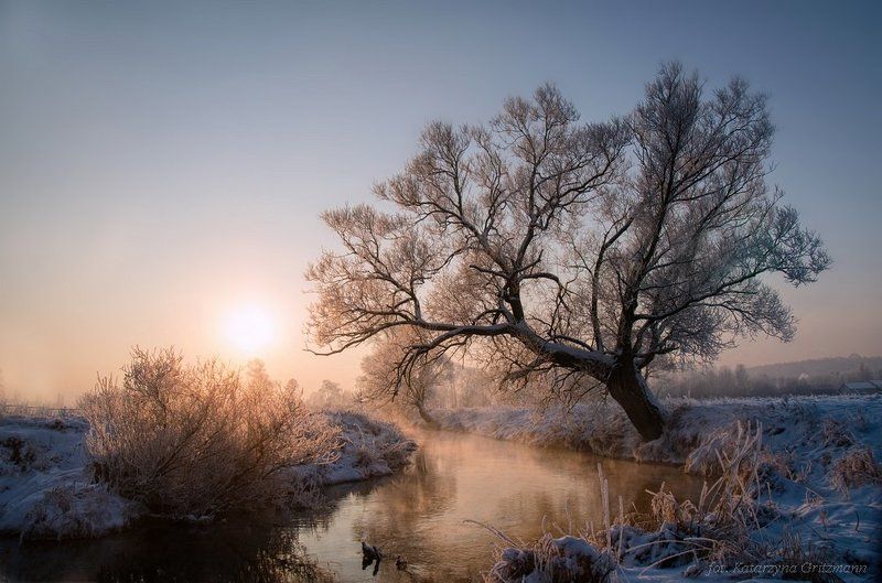 winter morning III фото превью