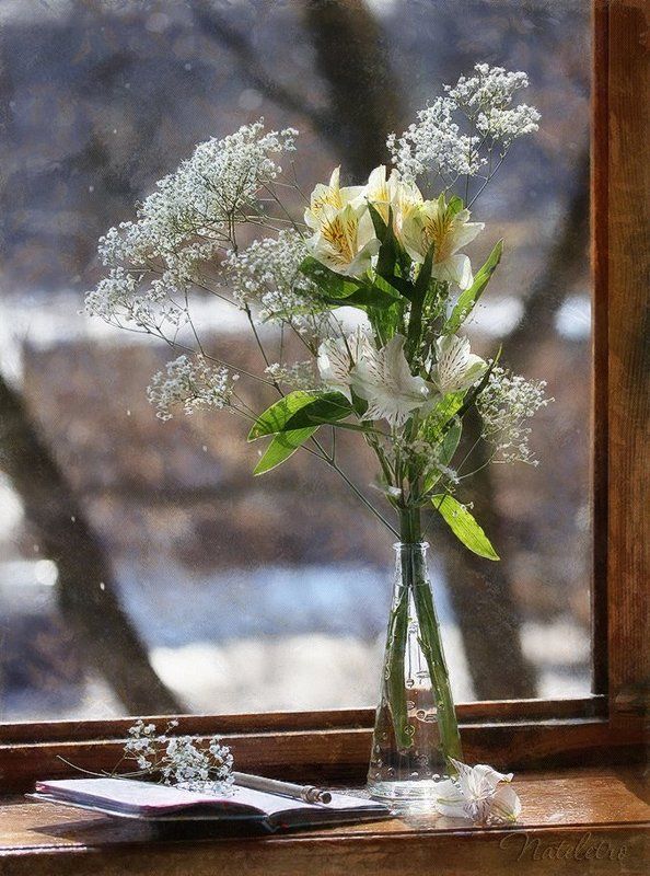 ~***~ фото превью