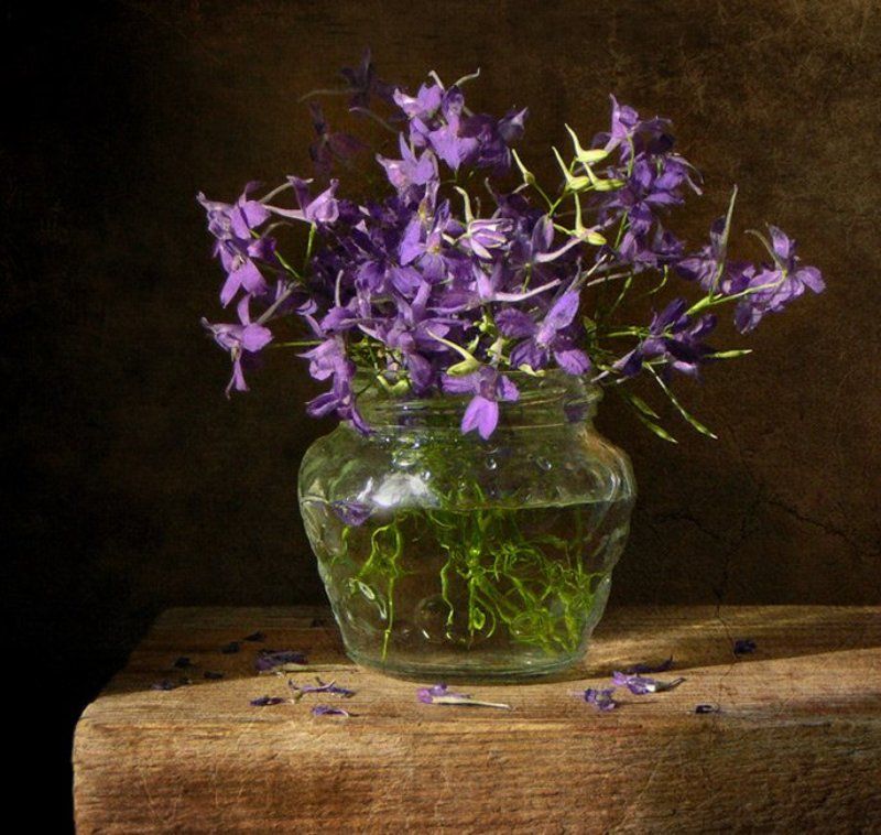 * * * фото превью