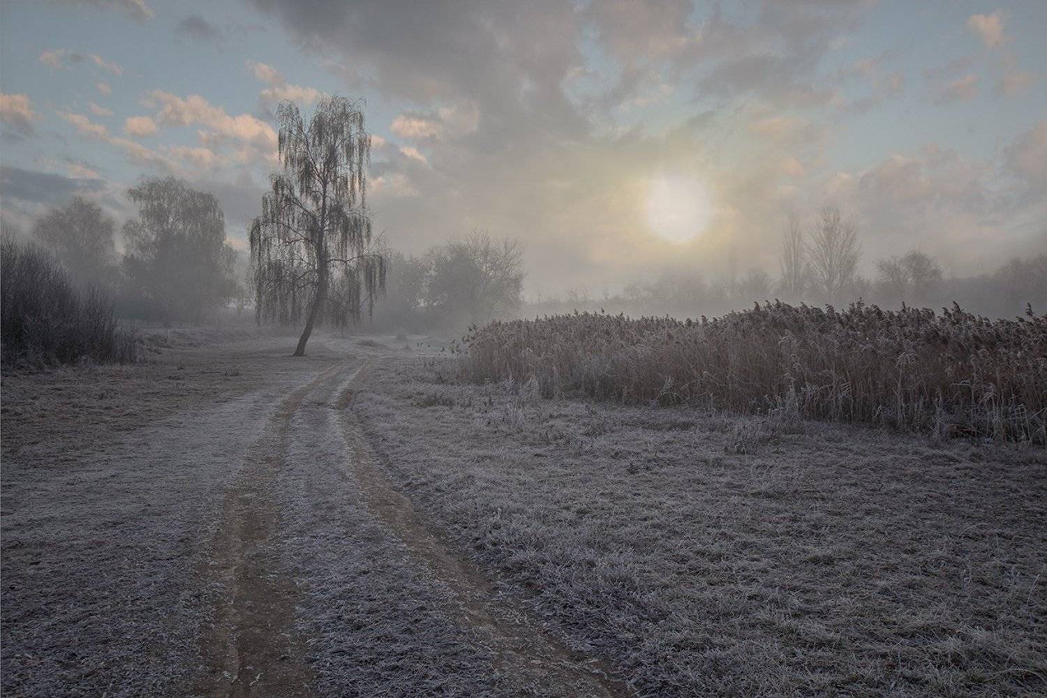 , Петр Антонович