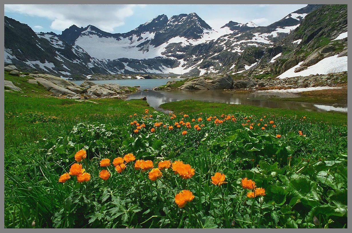 алтай, катунский заповедник, АНАТОЛИЙ ДОВЫДЕНКО