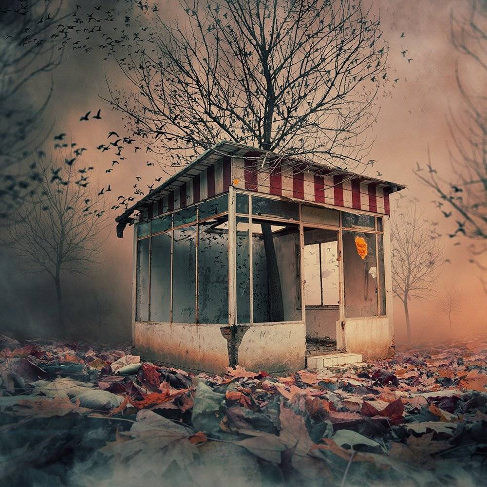 , Caras Ionut