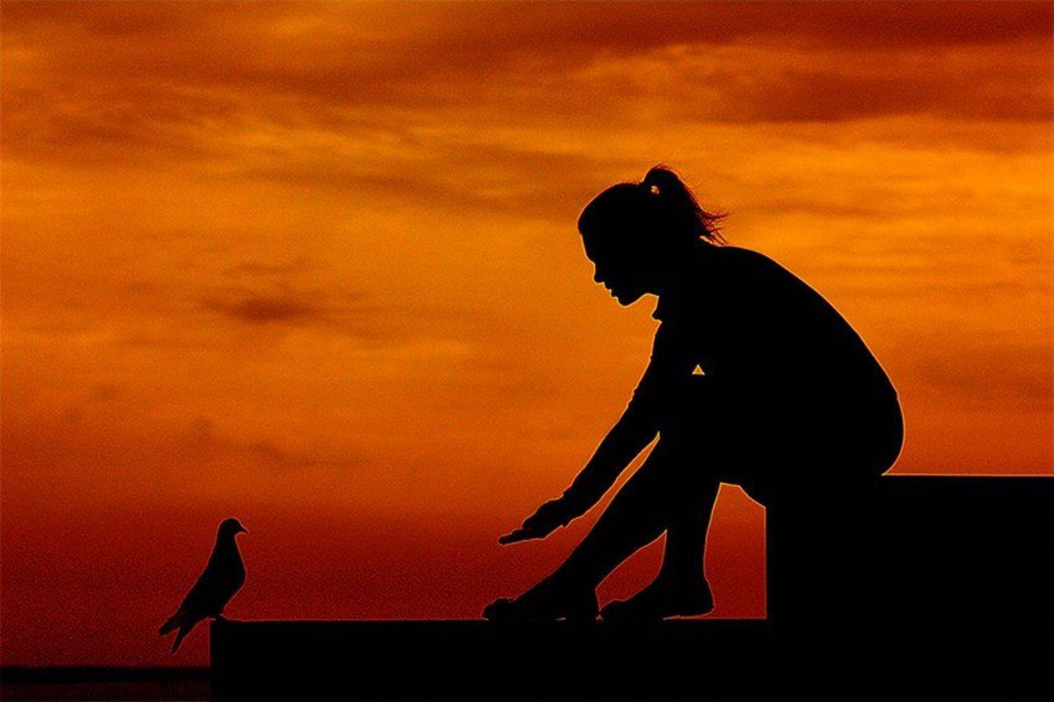 , Сергей Соловьев