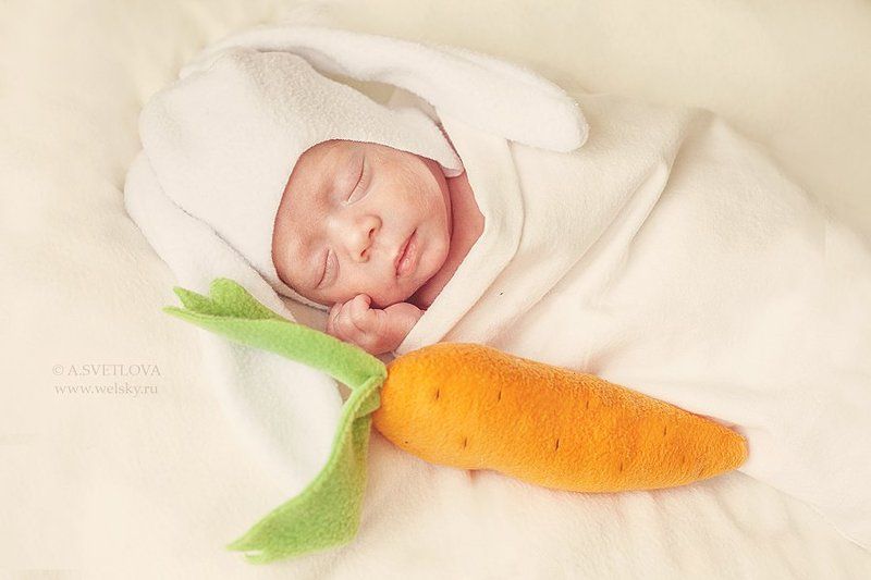 крошка зайчонок фото превью