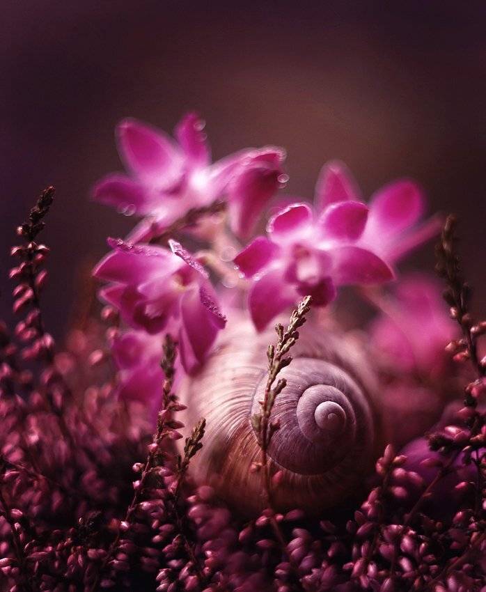 , Kasia Mycatherina Pietraszko