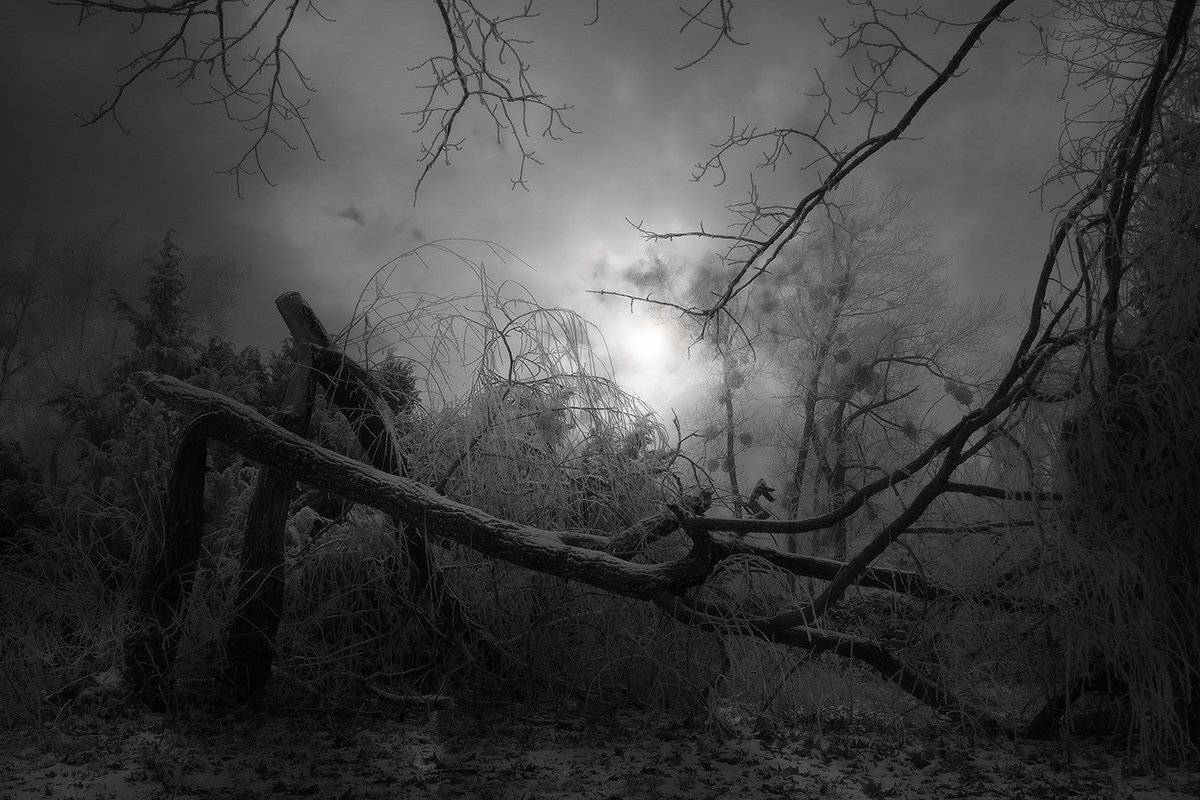 , Михаил  Пилипенко