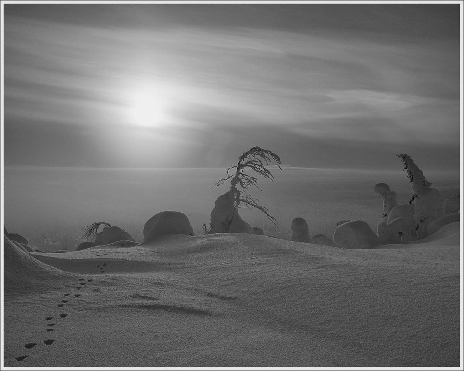 , Сергей Захаров.