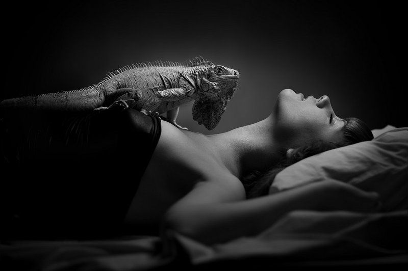 Platon фото превью