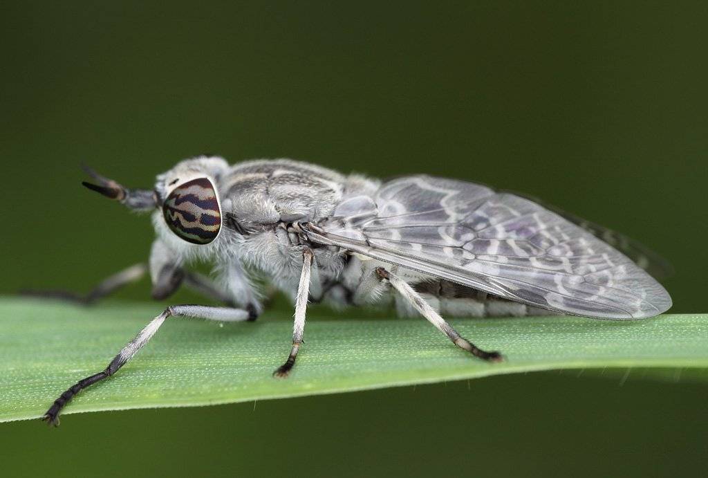 , Сергей Таланов