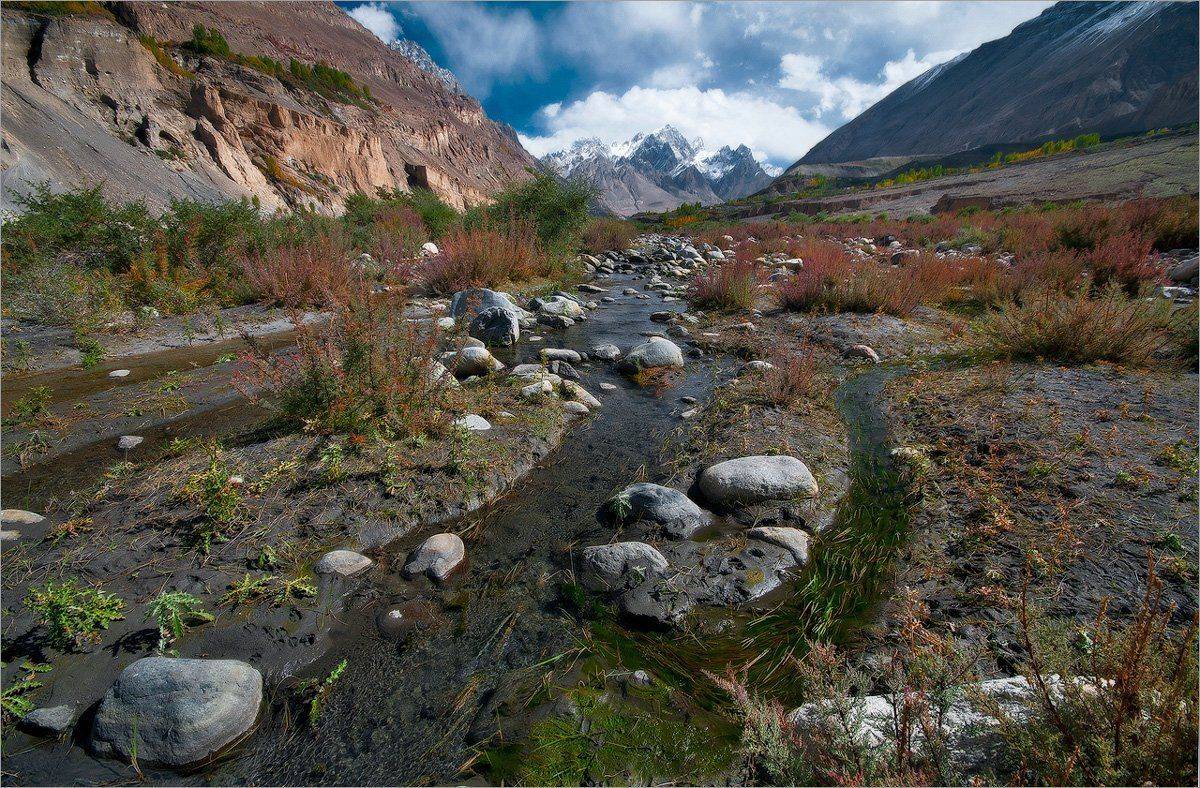 , Алексеевич