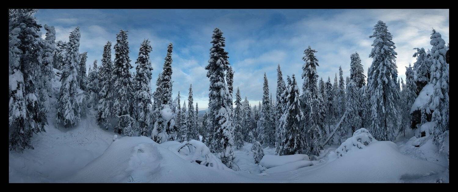 , Владимир Ляпин