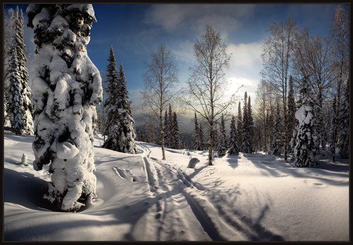 Шорские Зарисовки