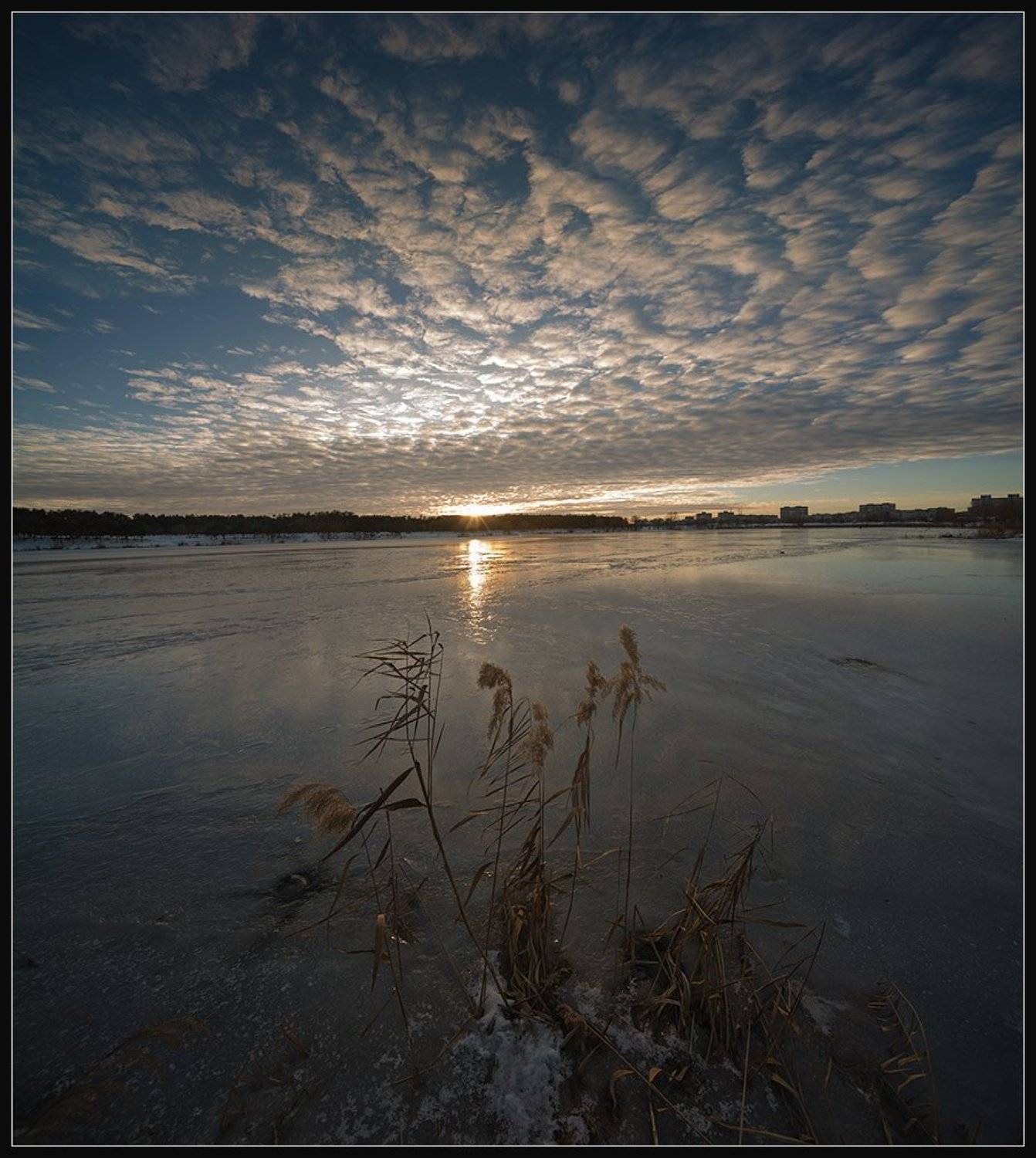 nikon d600,, Алексей Соловей